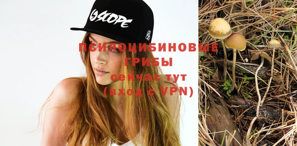 спайс Алексеевка
