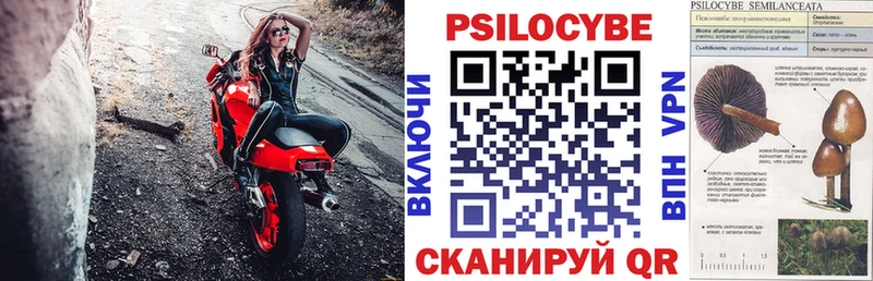 Псилоцибиновые грибы прущие грибы  наркота  Санкт-Петербург 