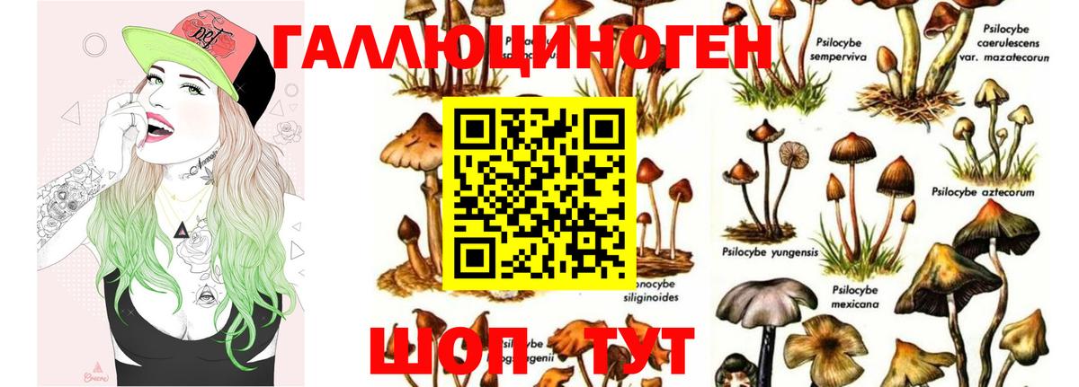 Галлюциногенные грибы MAGIC MUSHROOMS  Вход с VPN  Санкт-Петербург 